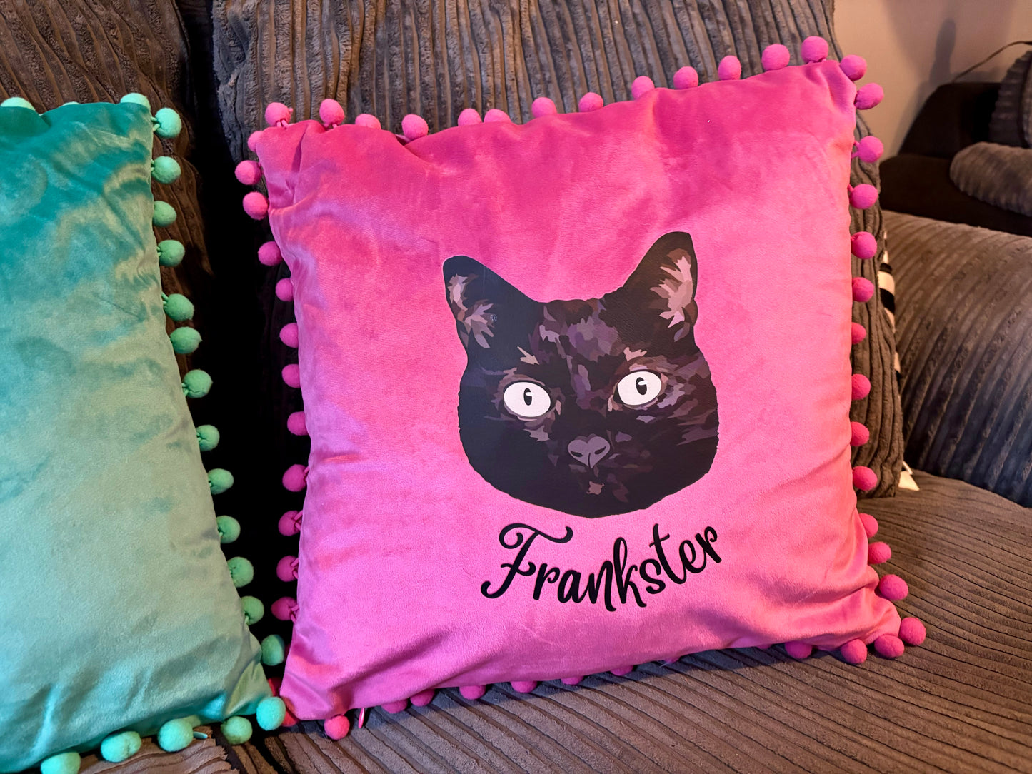 Pet Portrait Cushions