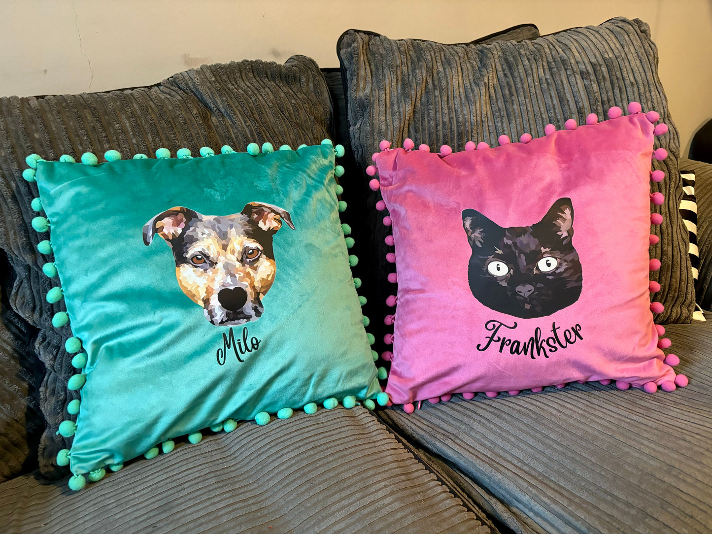 Pet Portrait Cushions
