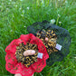 SAVE THE WASTE - Mystery frilly scrunchie