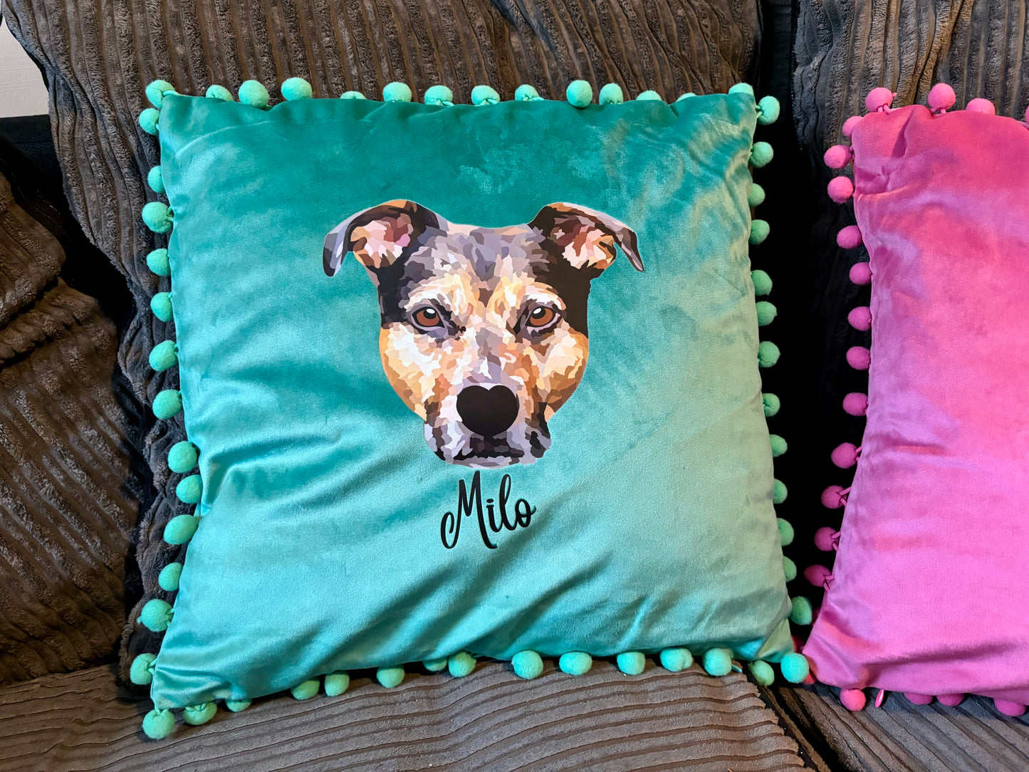 Pet Portrait Cushions