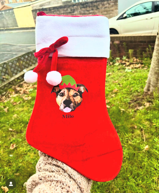 Pet Portrait Christmas Stocking