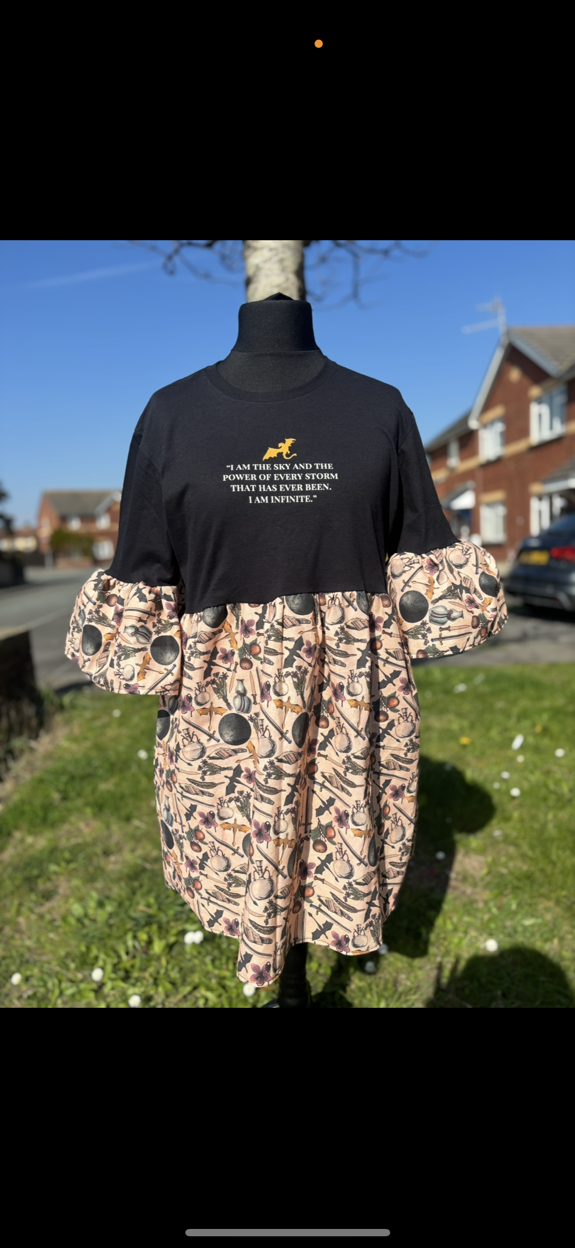 Fantasy Dragon Bookish Smock Dress
